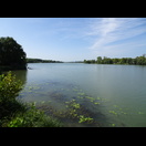 Die Saône